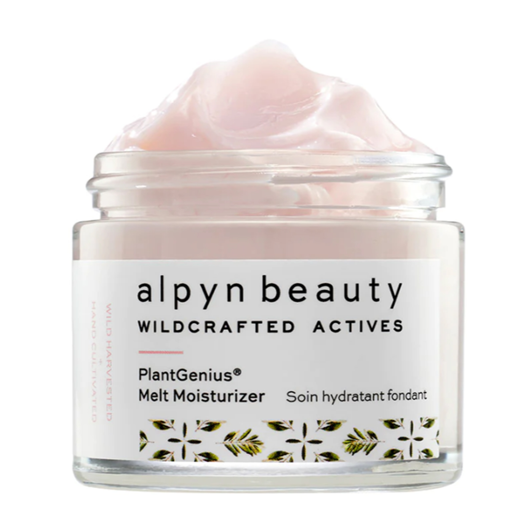 MELT MOISTURIZER WITH BAKUCHIOL AND SQUALANE